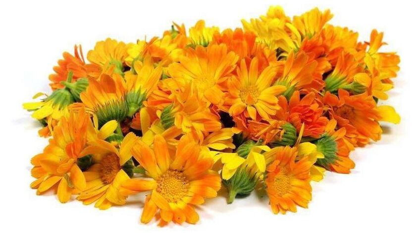 Extracto de calendula en Promicil
