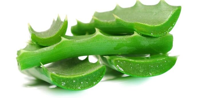 Aloe para el tratamiento del hongo de las uñas